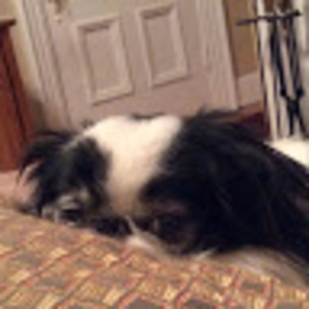 Meet your Posher, Michele